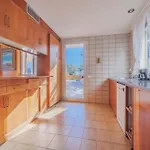 Casa William Vila