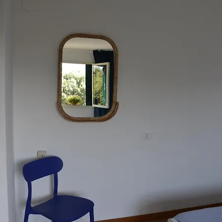 Casa William